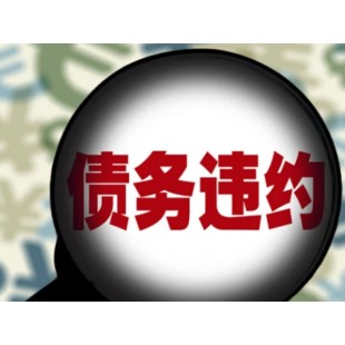 湖州要债公司周期